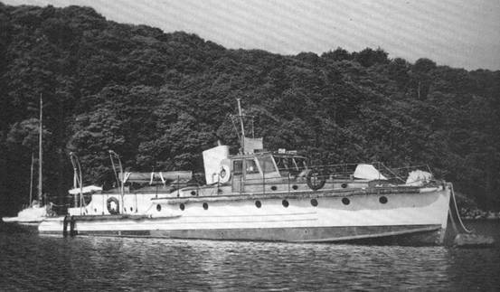 Caprella in Sir Harry's Day